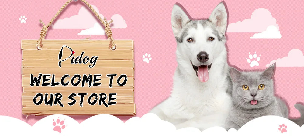 Custom Cat Collar Nylon Puppy Kitten Collars