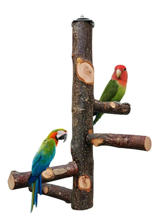 Pet Parrot Bird Standing Stick