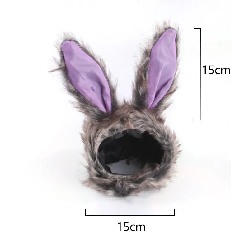 Christmas Festival Pet Hat