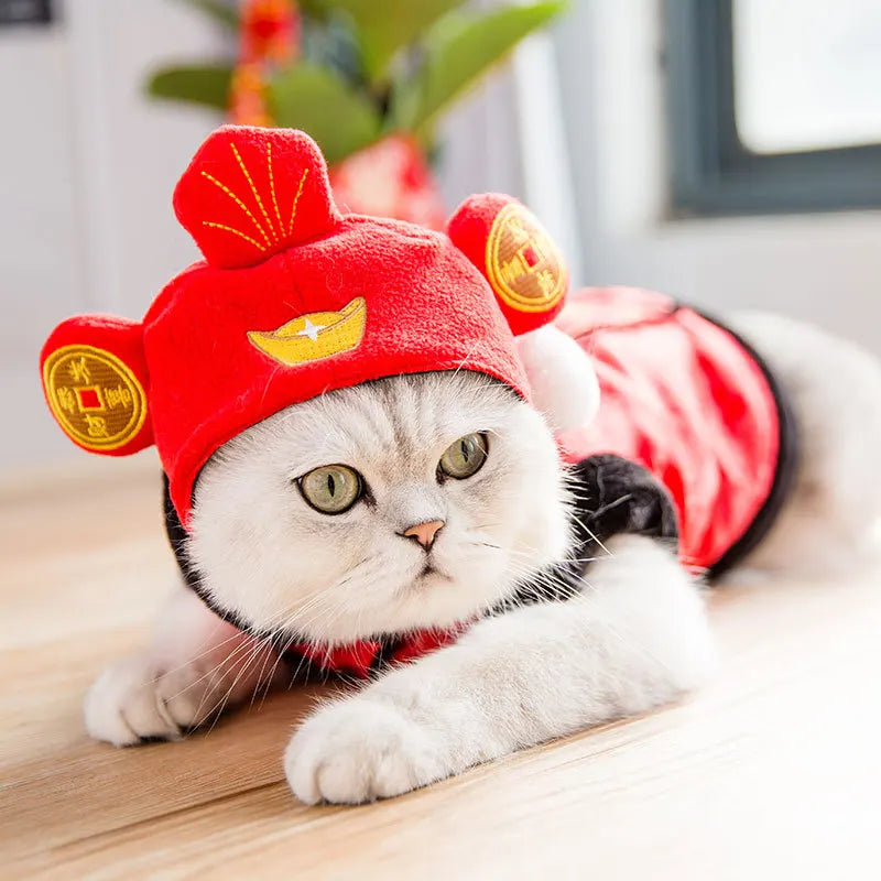 Christmas Festival Pet Hat