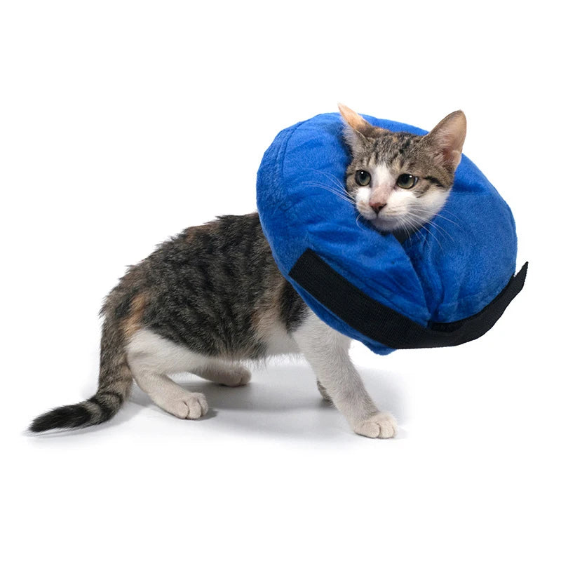Inflatable Pet Collar