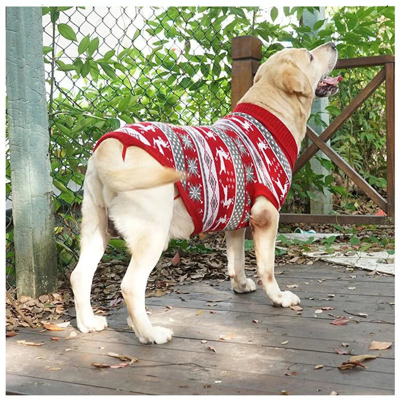 Big Dog Sweater Winter Warm
