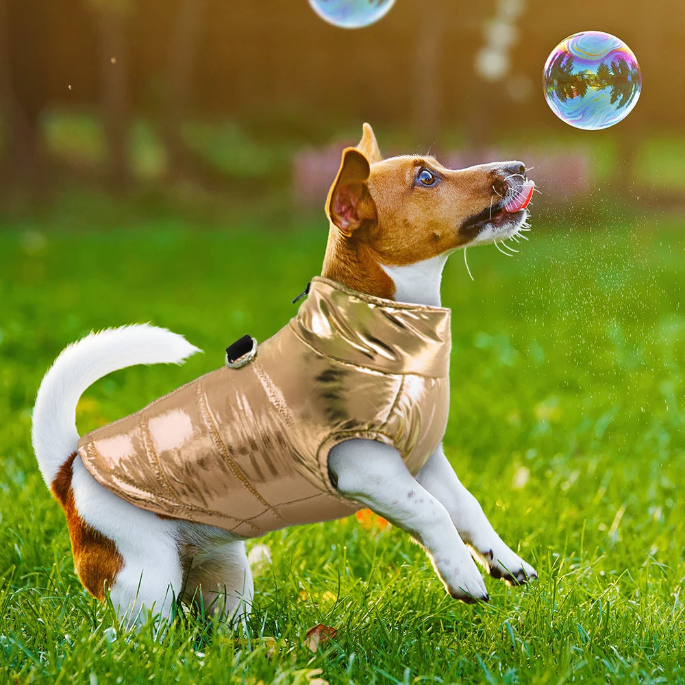 Waterproof Dog/ Puppy/cat  Jacket Vest
