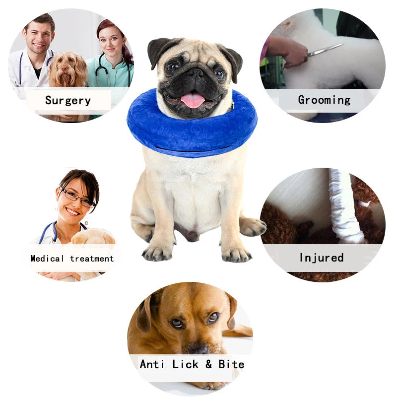 Inflatable Pet Collar