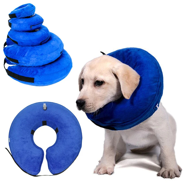 Inflatable Pet Collar