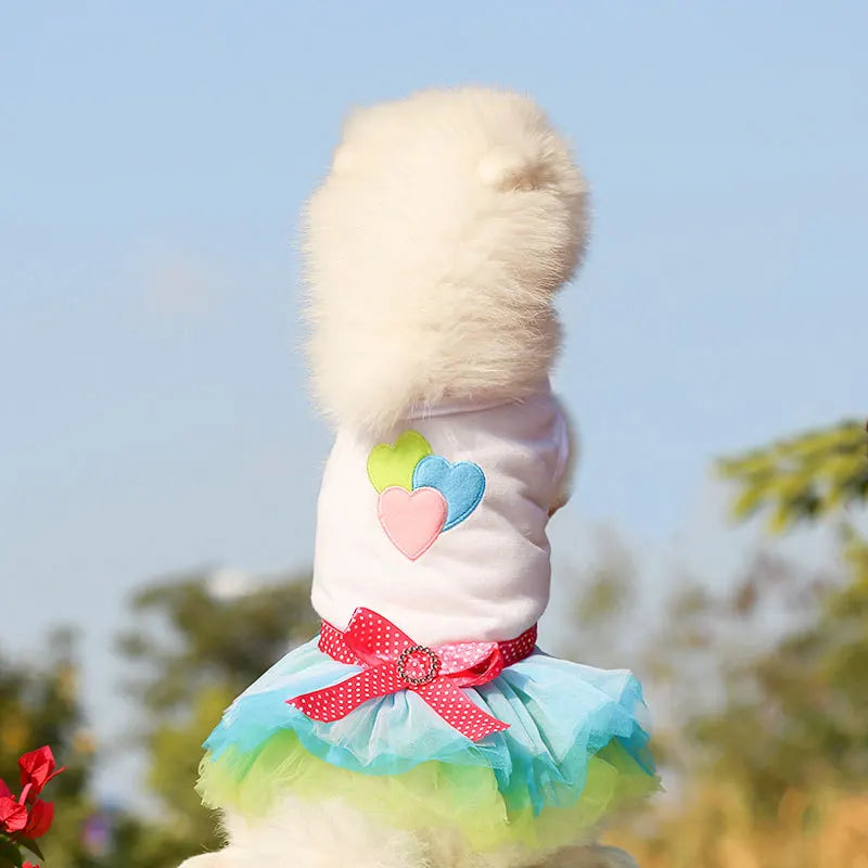 Spring Dog Lace Dress