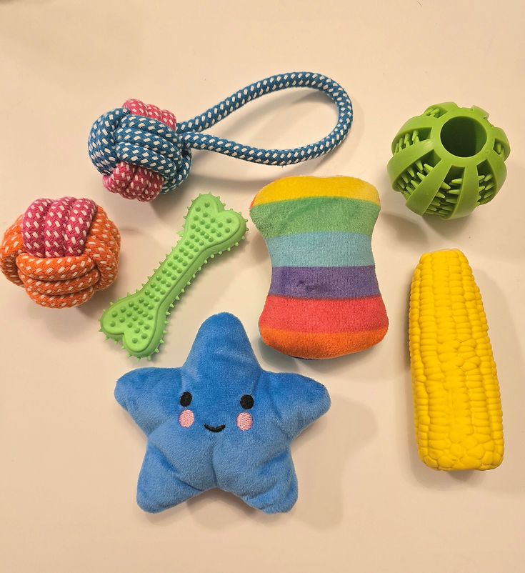 Toys & Enrichment