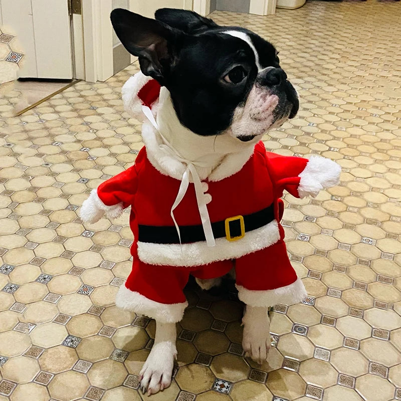 Cute Dog Santa Claus Outfit