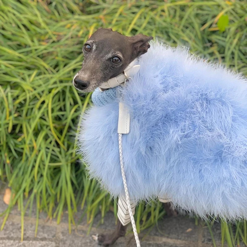 Pet Colorful Sweater