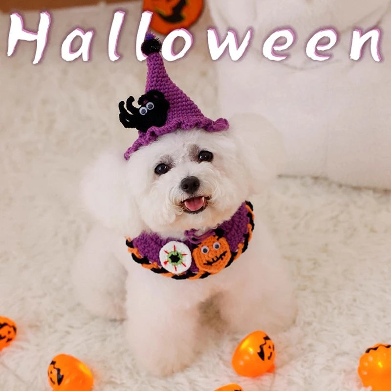 Halloween Cat Costume