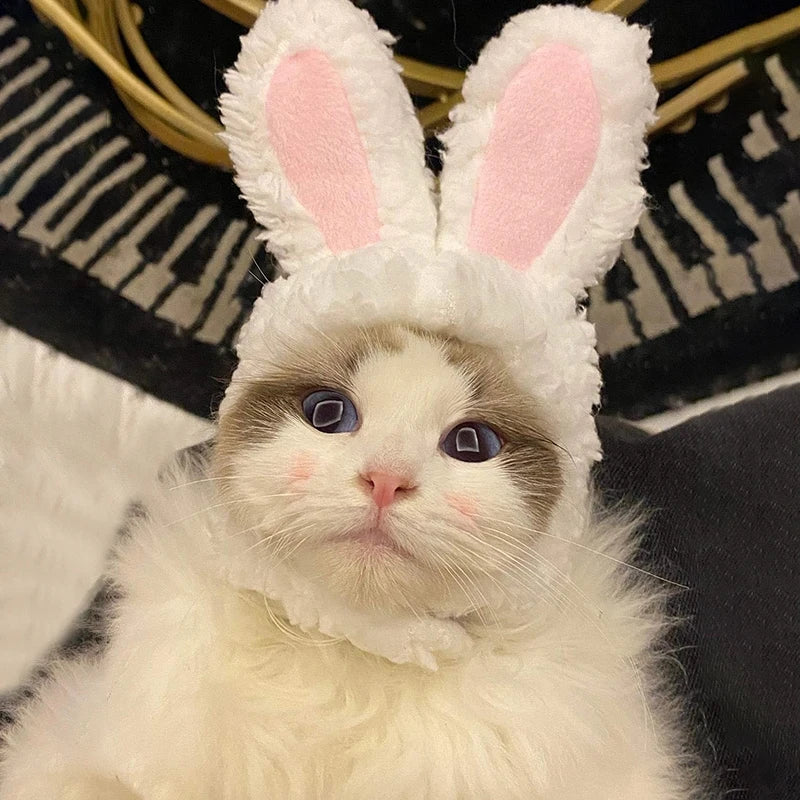 Cat Cosplay Dress Up Pet Hat Lion Mane