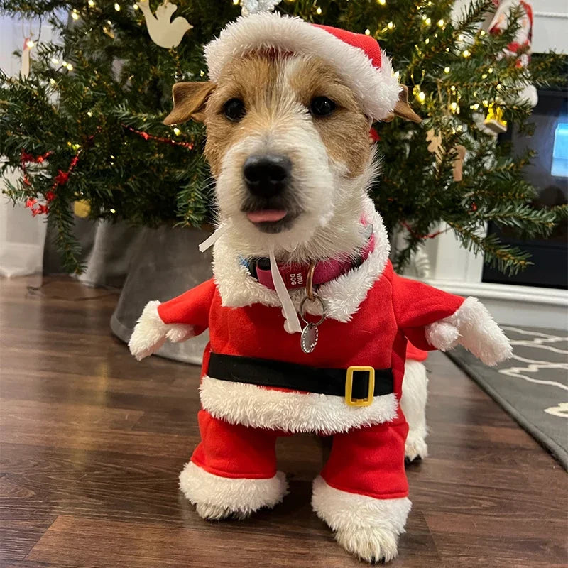 Cute Dog Santa Claus Outfit