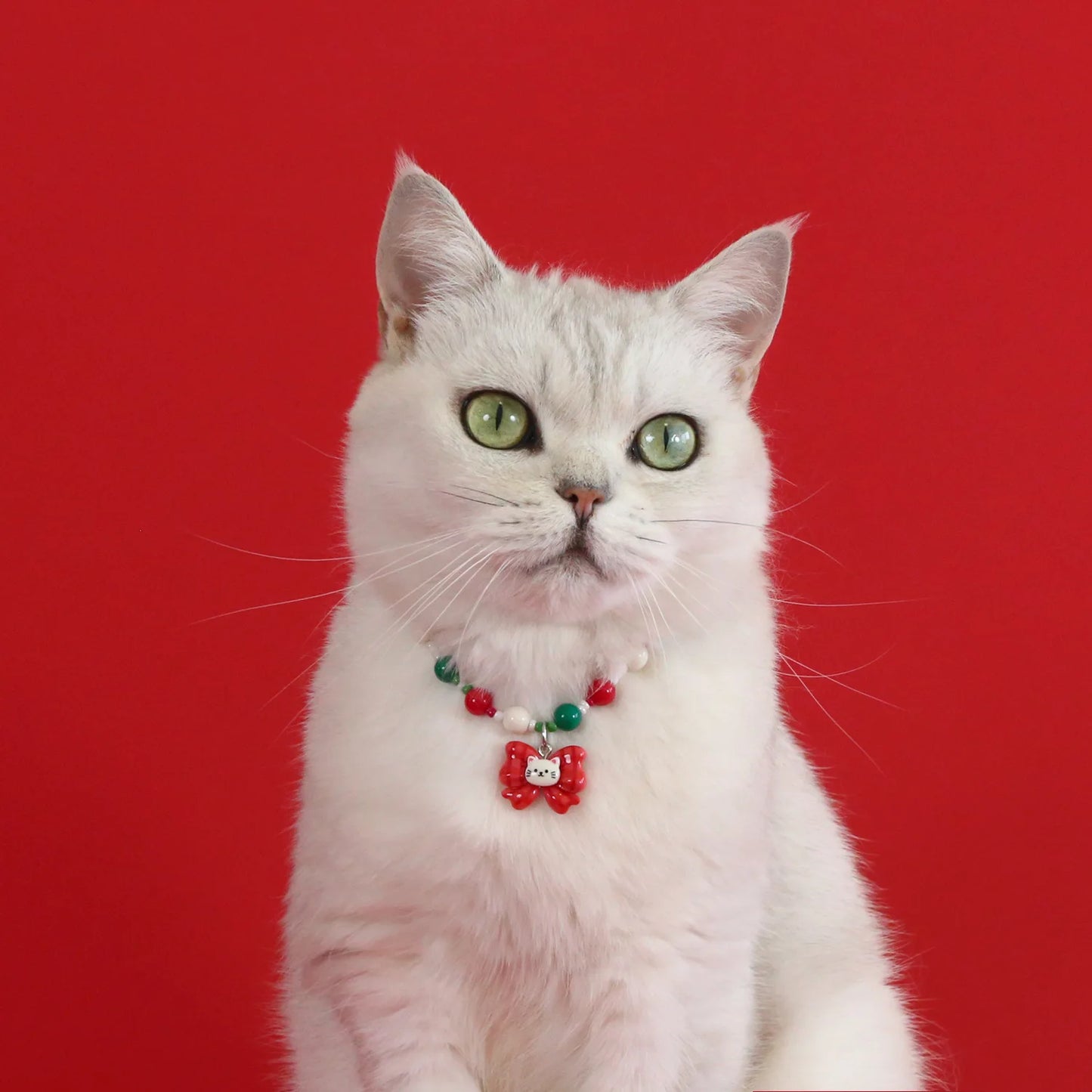 2026 Christmas Pet Collar