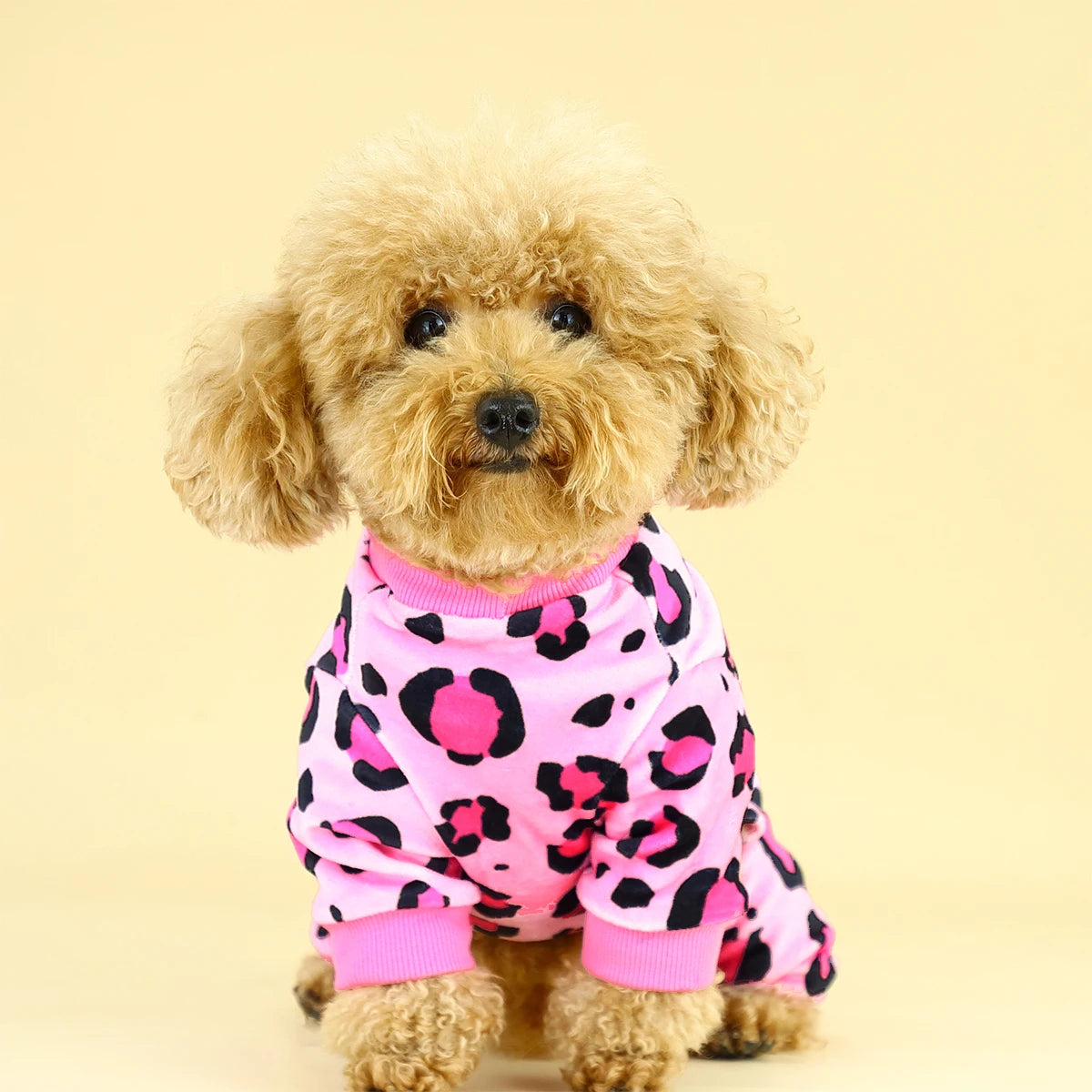 Leopard Dog Pajamas:
