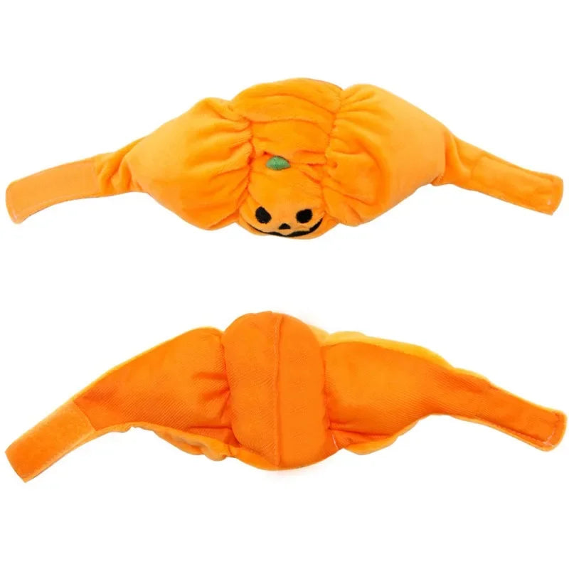 Cute Pet Pumpkin Hat