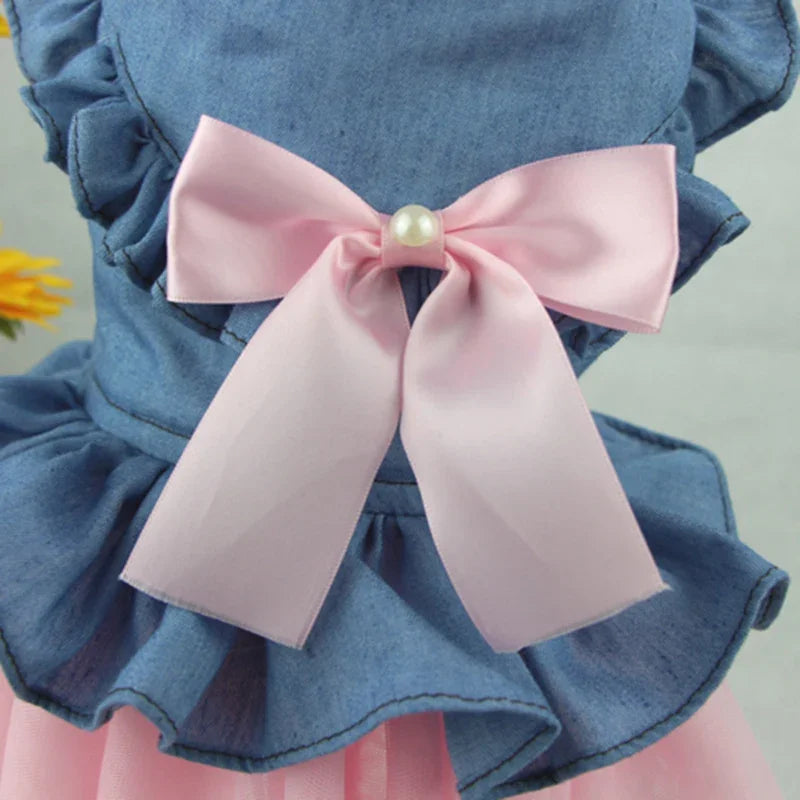 Denim Sphynx Cat Princess Dress