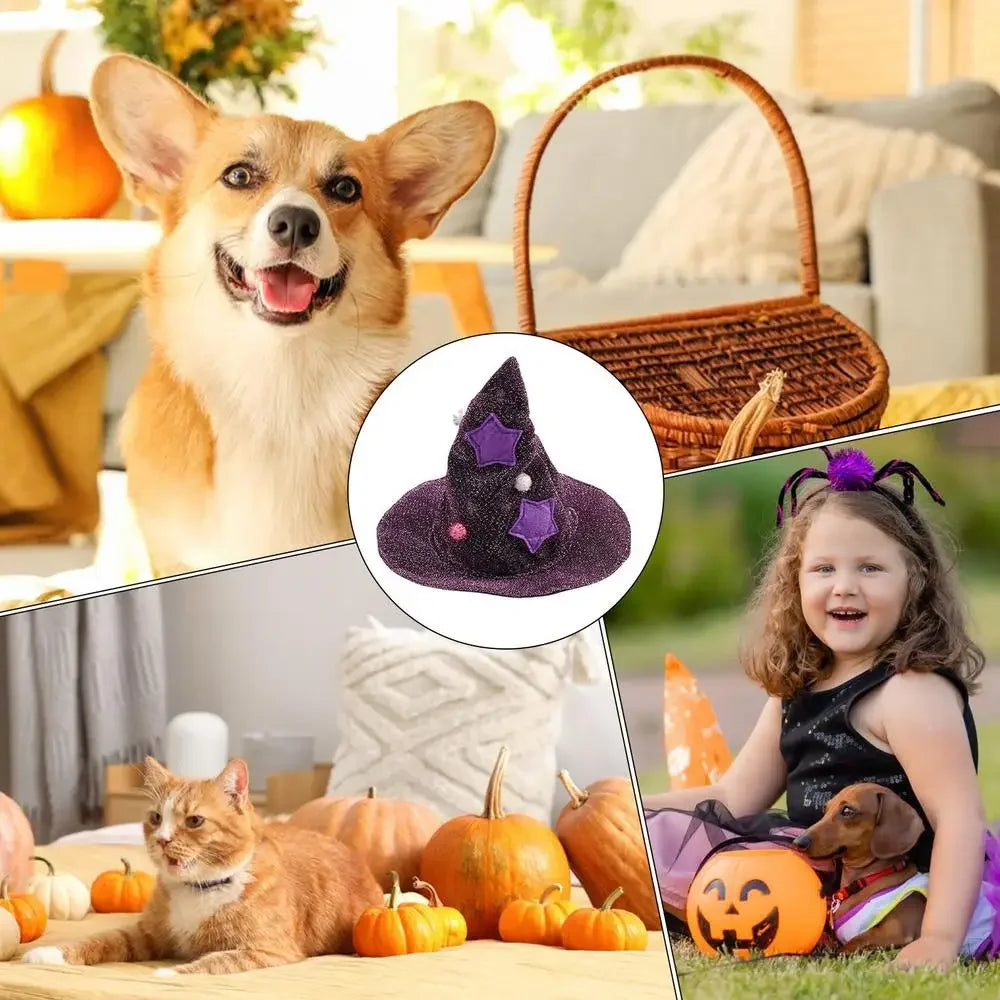 Cat Halloween wizard Costume