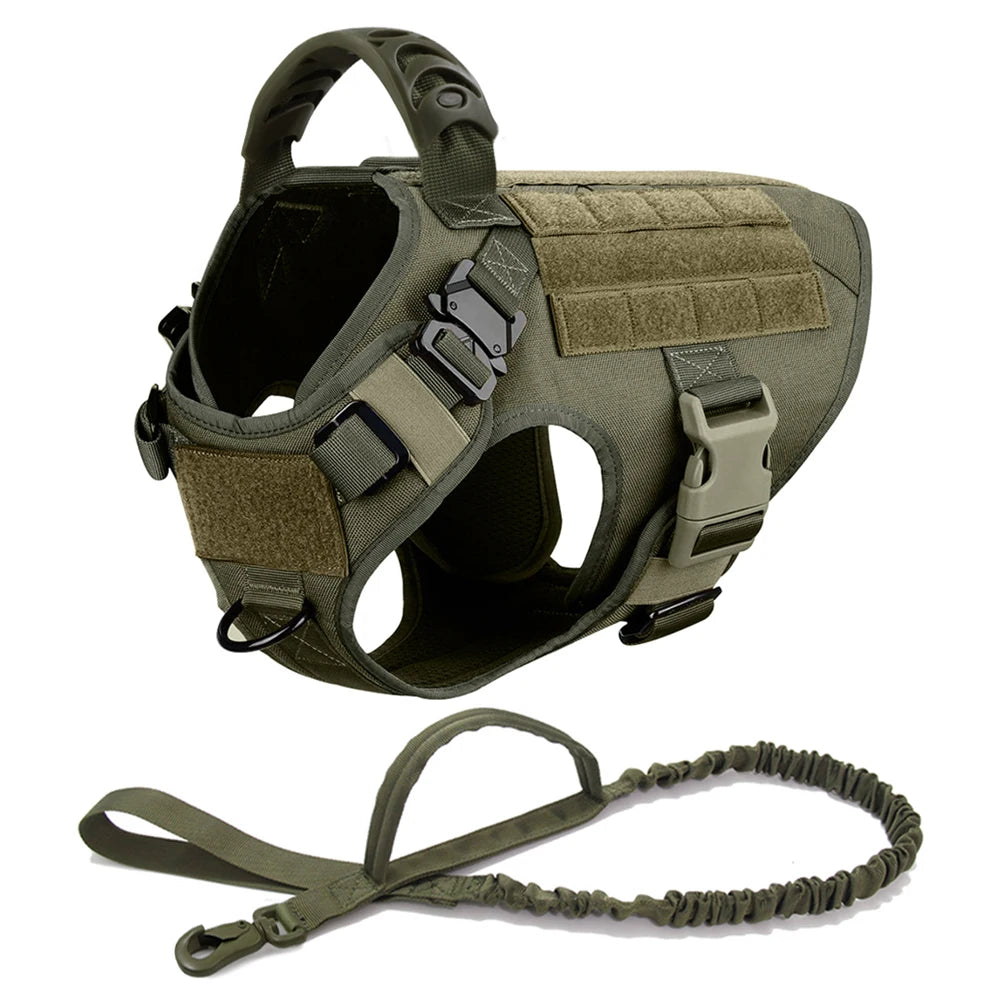 Large Dog Harness And Leash