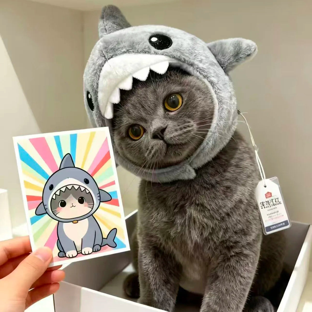 Cat headdress Shark