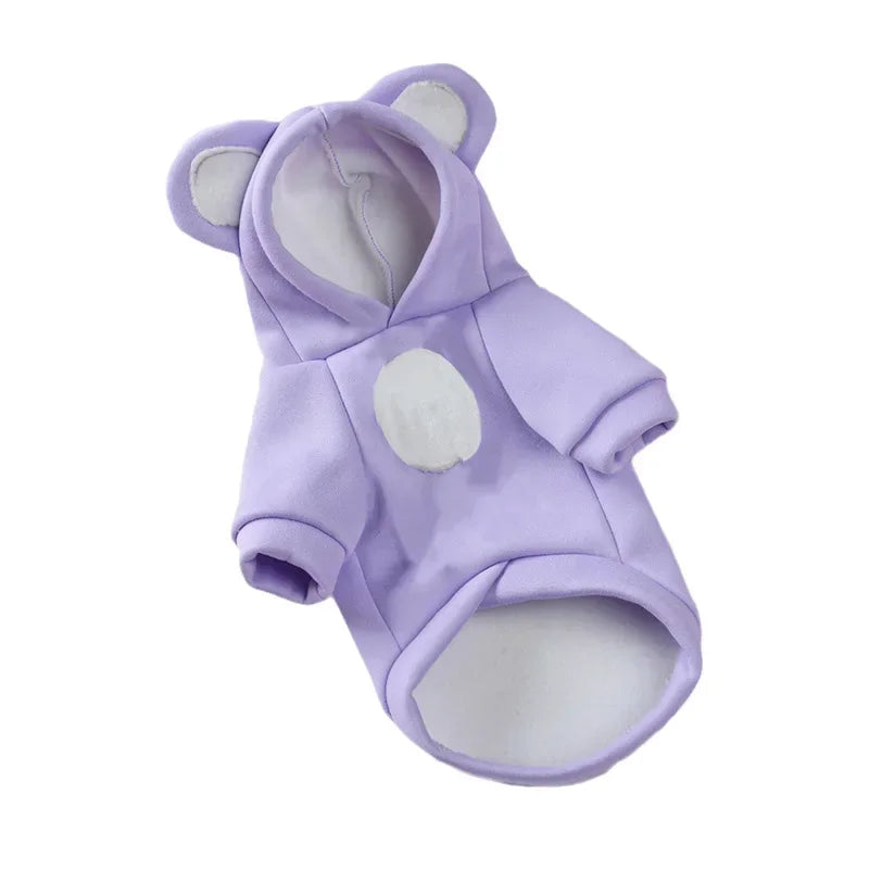 Cute Hairless Cat Clothes
