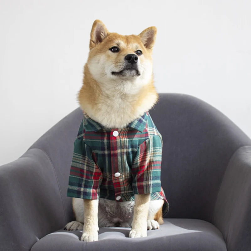 British Style Cat Dog Shirt