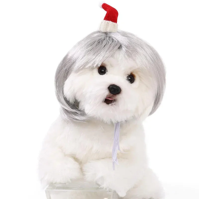 Pet Wig Dog And Cat
