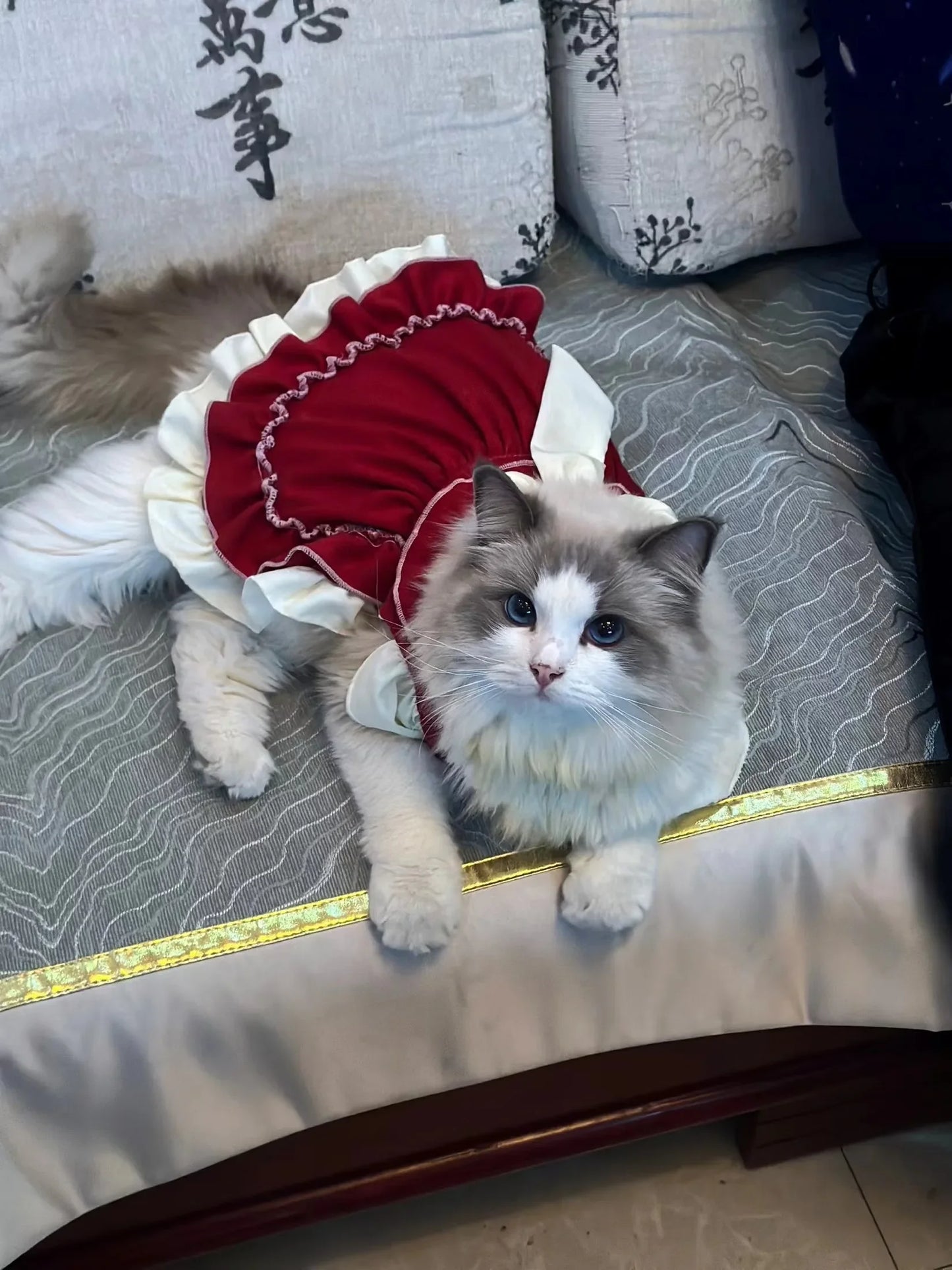 Cat Skirt & Bow Princess Skirt