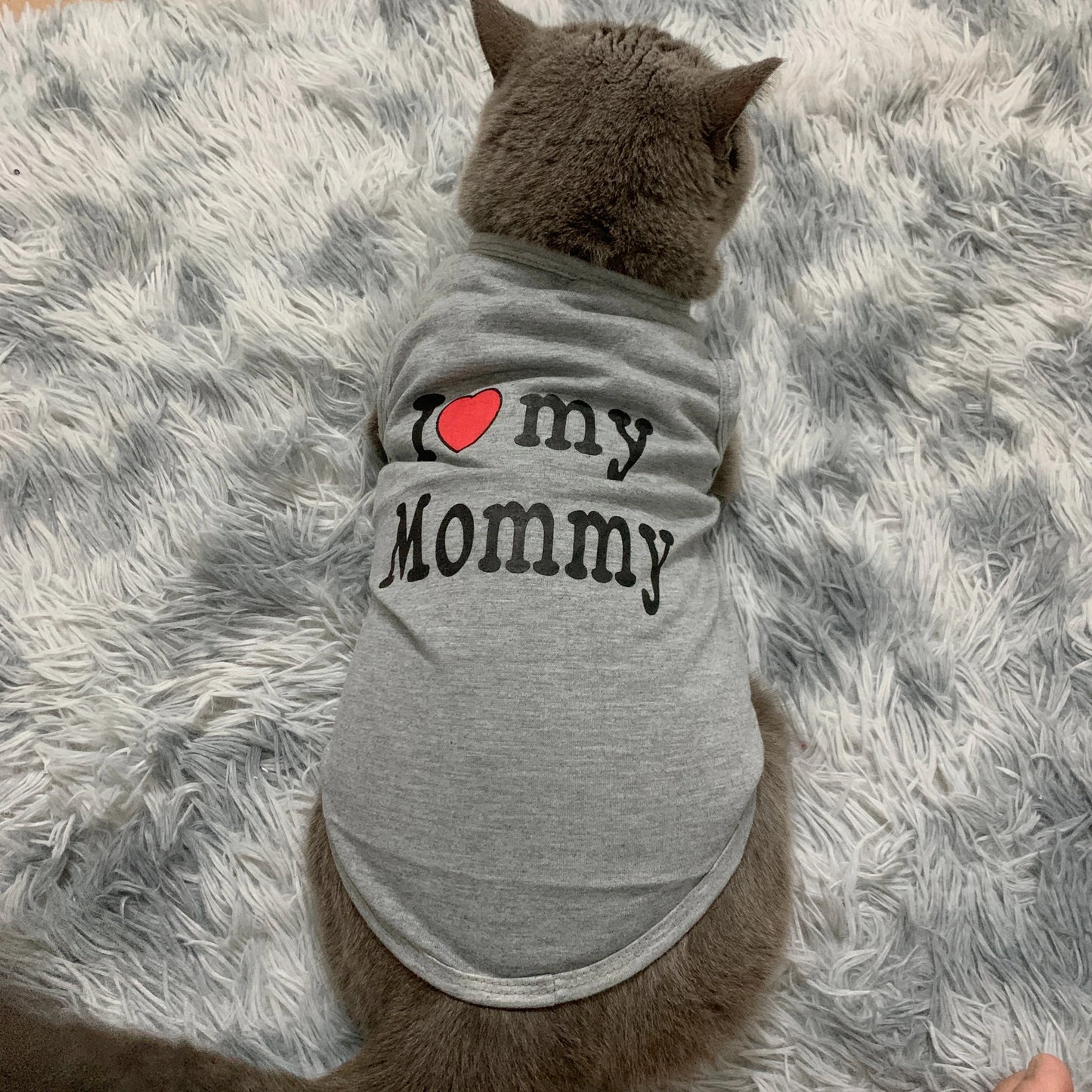 Lovely Pet Clothes for Small Cats Dogs