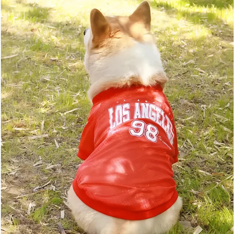Summer Pet Dog Cooling Vest