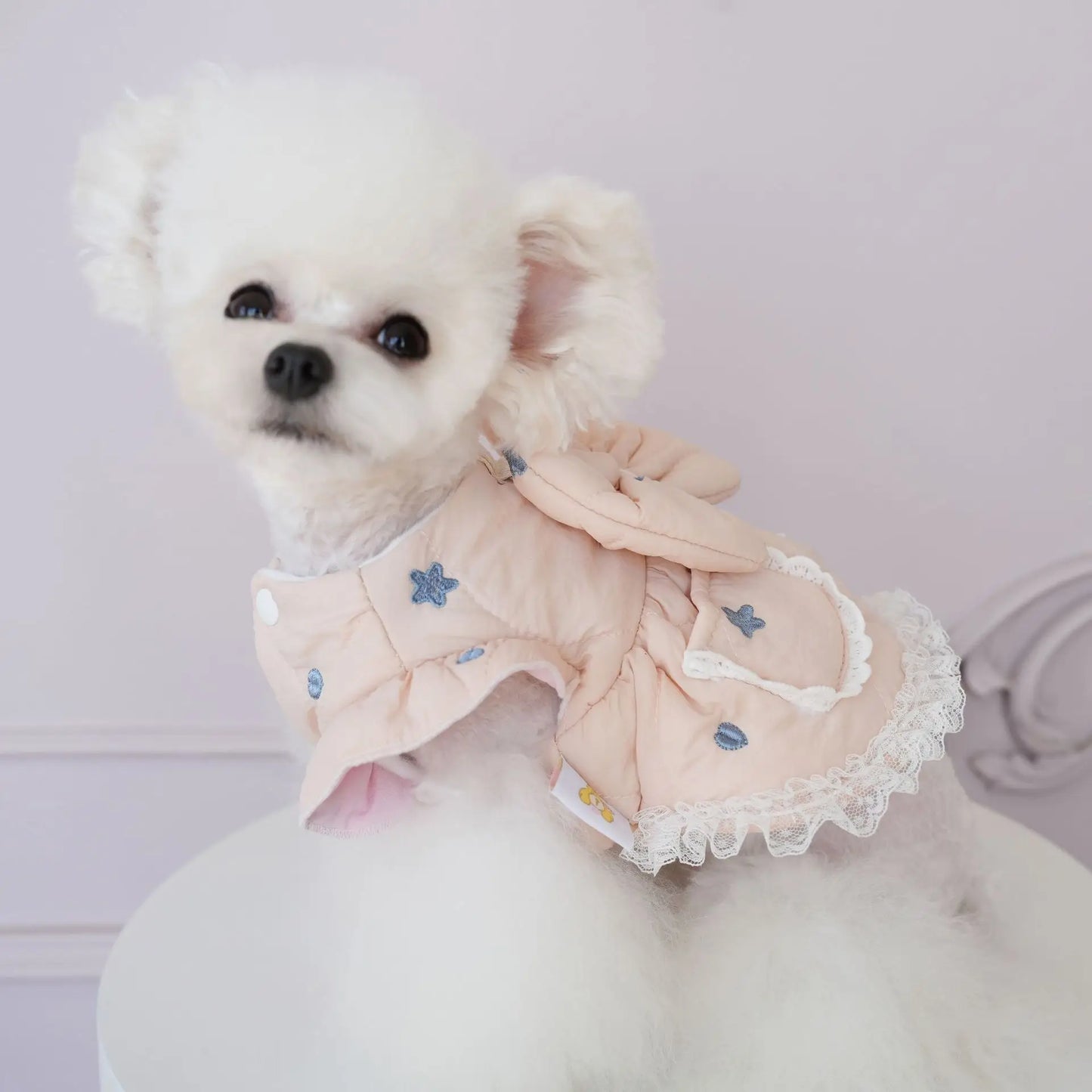 Pet Autumn/Winter Star Embroidered Coat