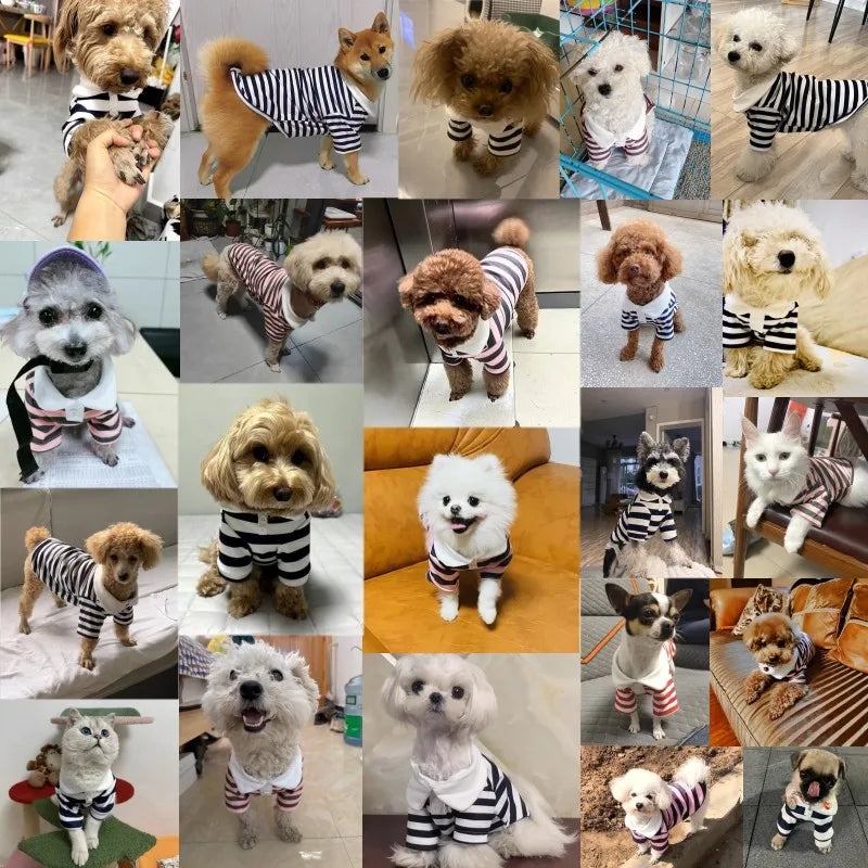 Fashion Pet Dog Striped Shirt