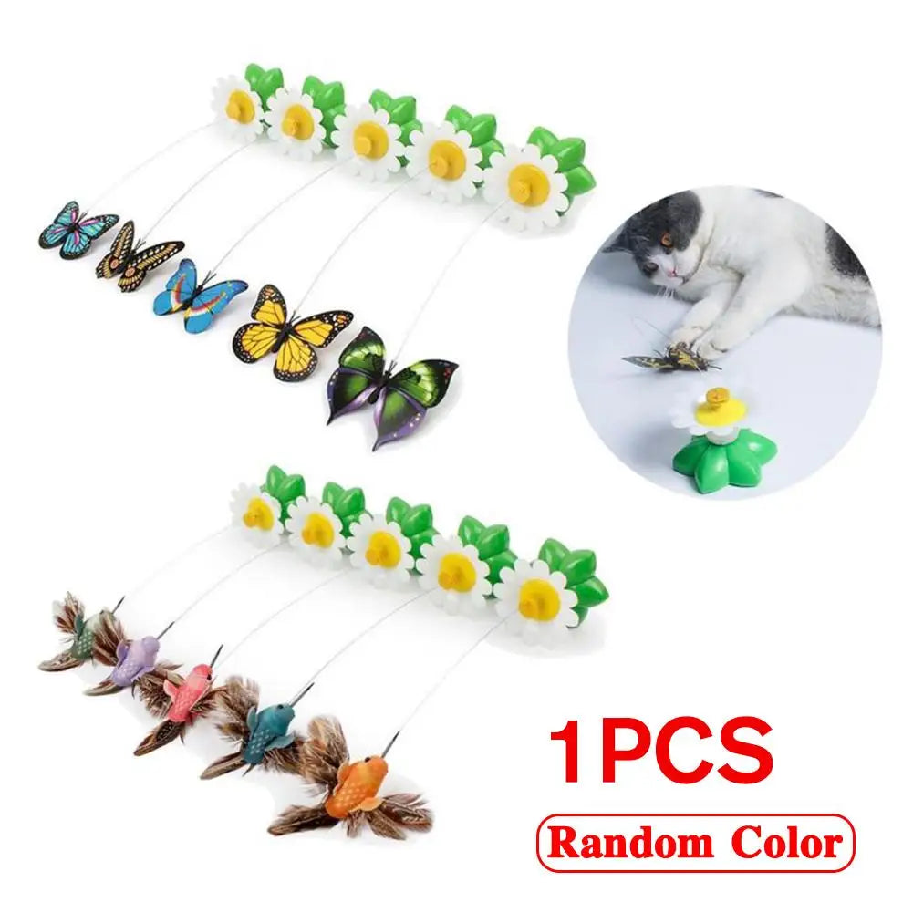 Electric Butterfly or Humming Bird Cat Toy