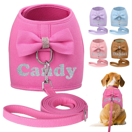 Personalized Dog Harness and Leash Set
