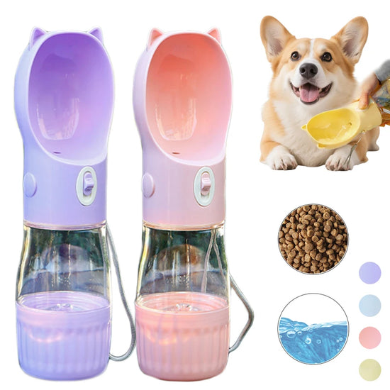 2 in 1 Portable Water Bottle with food container