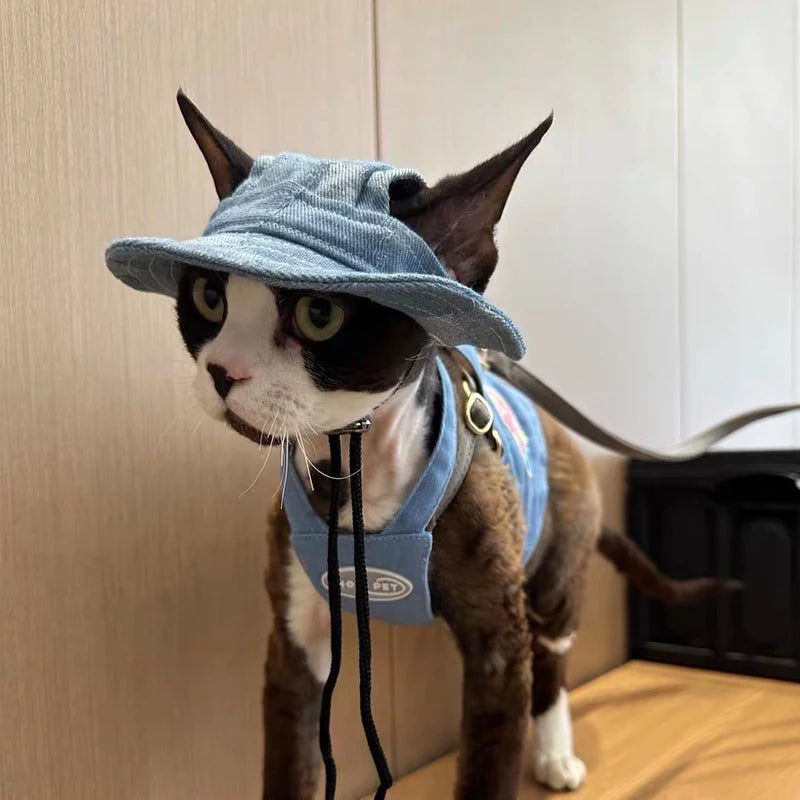 Fashion Cat hat Summer Sun Hats for Sphynx Kittens Open Ears Blue Cowboy Hats Adjustable Cap Cord for Devon Rex Cat Supplies