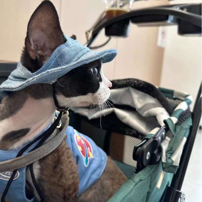 Fashion Cat hat Summer Sun Hats for Sphynx Kittens Open Ears Blue Cowboy Hats Adjustable Cap Cord for Devon Rex Cat Supplies