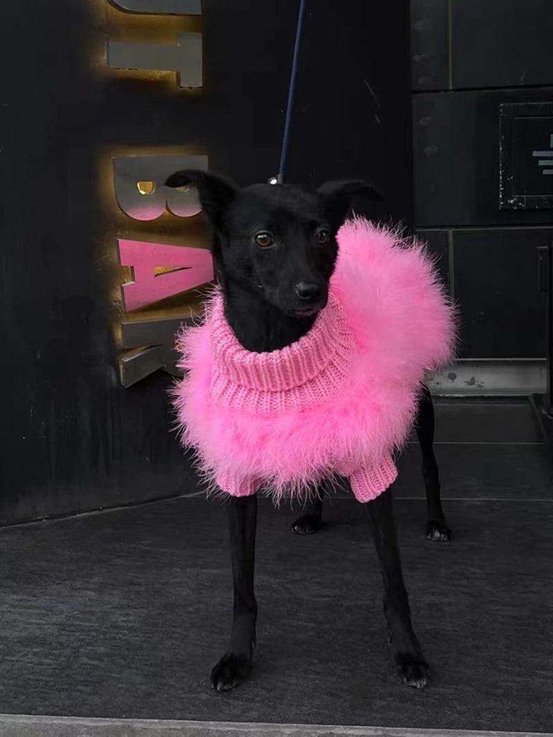 Pet Colorful Sweater