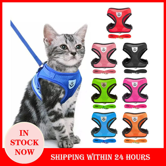 Cat Harness