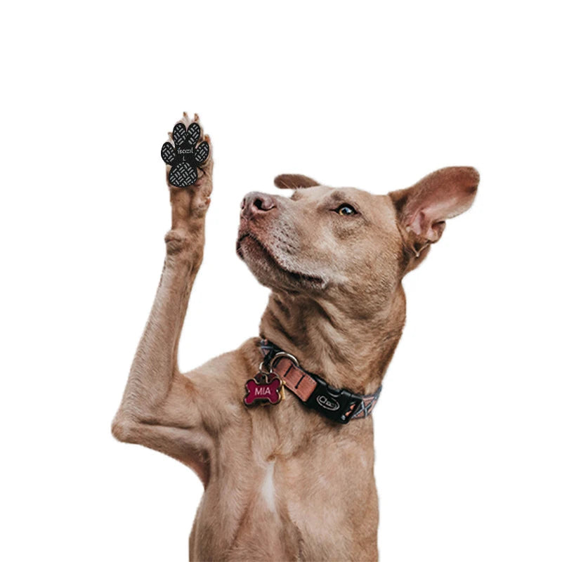 4-Pack Dog Anti Slip Paw Grips