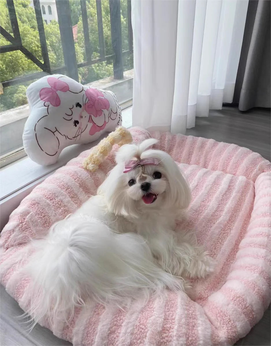 Puppy special sofa