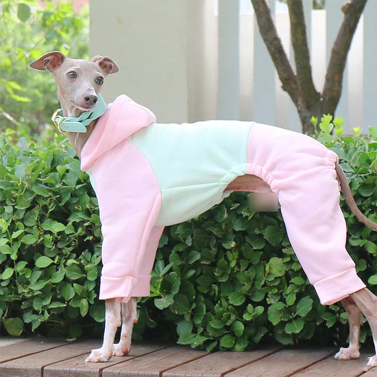Winter Dog Sweater Italian Greyhound Whippet