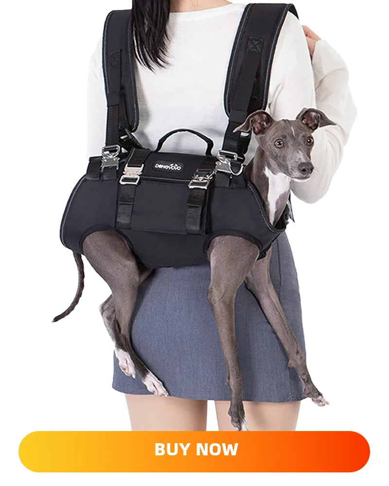 Luxury Small Pet Dog Sweate