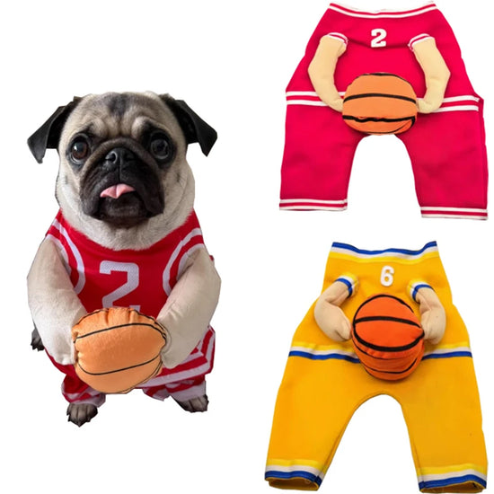 Dog Basketball Costume With Ball