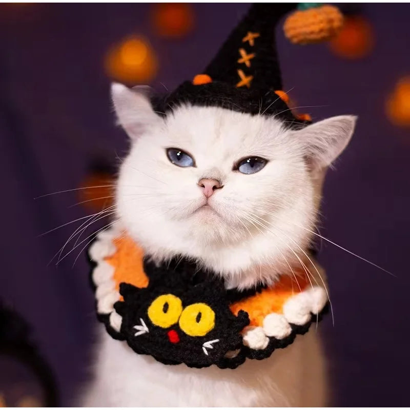 Halloween Dog & Cat Collar