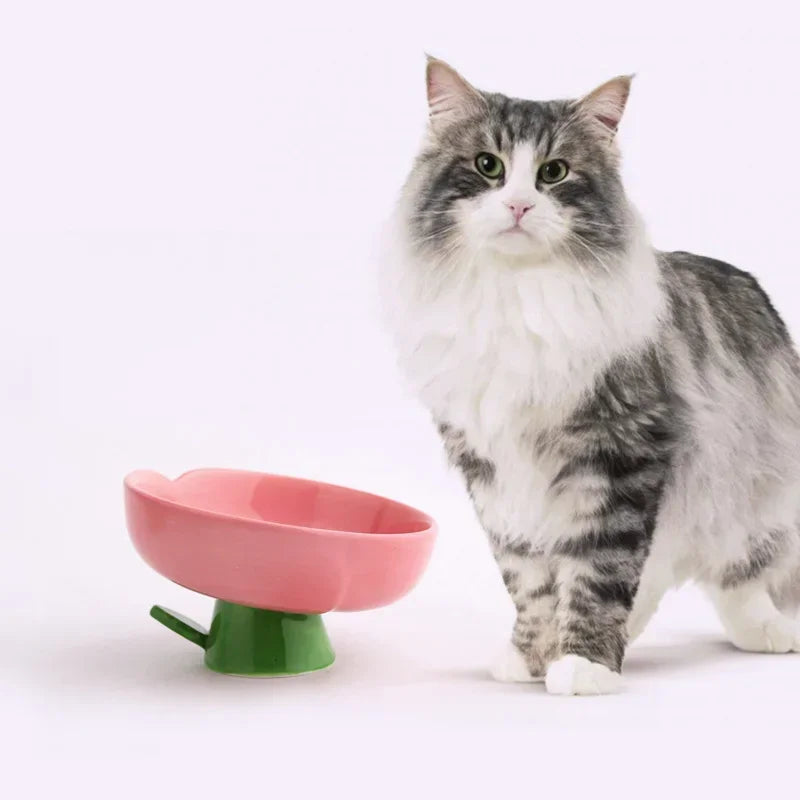 Cat Raised bowl