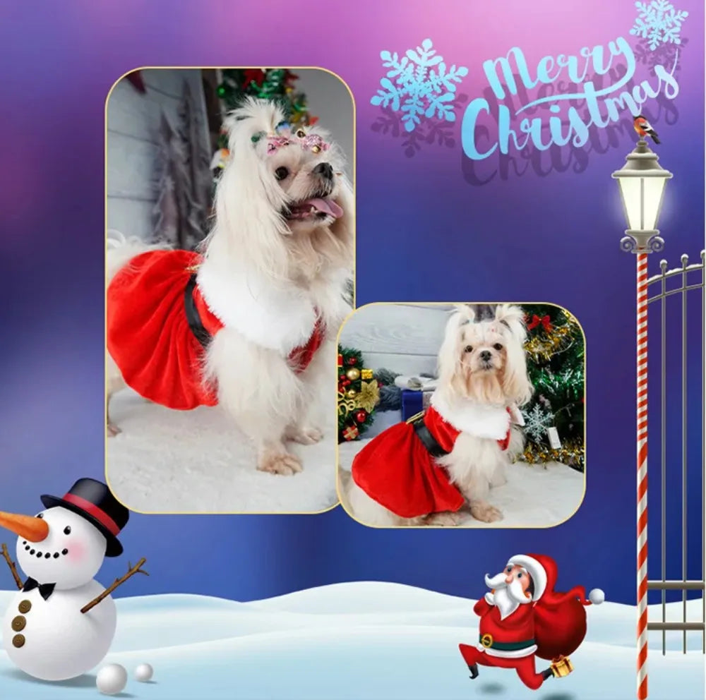 Christmas Dog Dresses