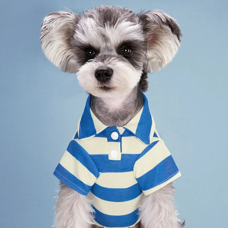 Pet Dog Polo Shirt