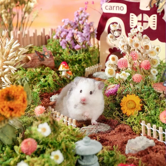 Secret Garden Series Natural  Hamster Bedding