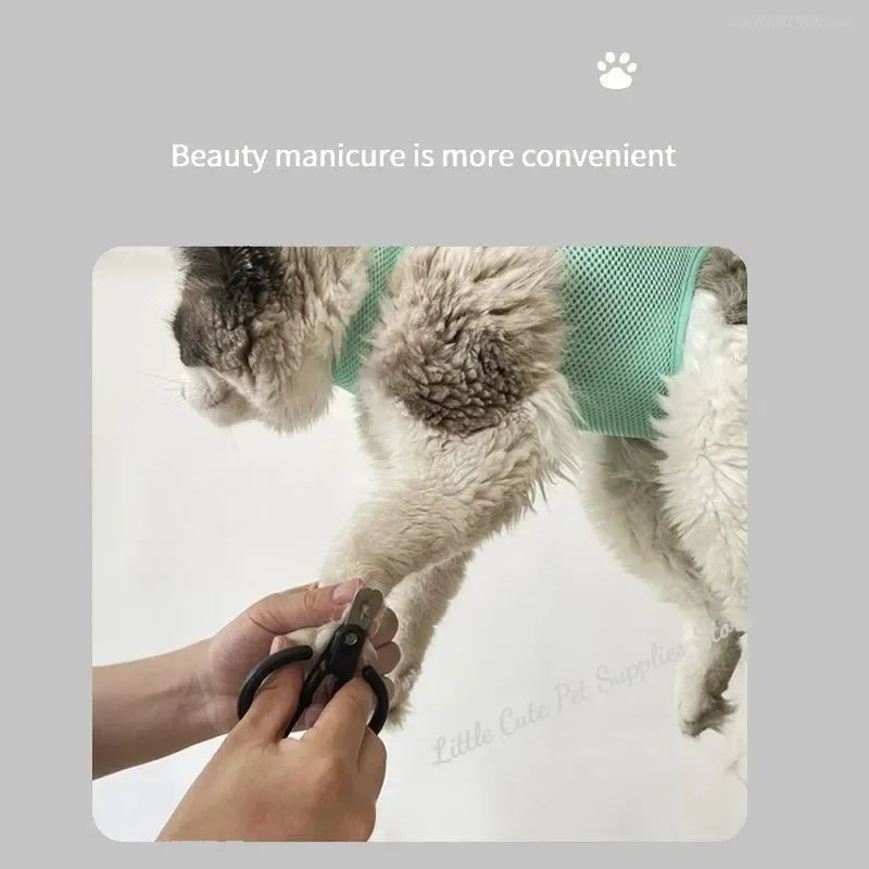 Cat Grooming nail cutting
