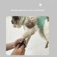 Cat Grooming nail cutting